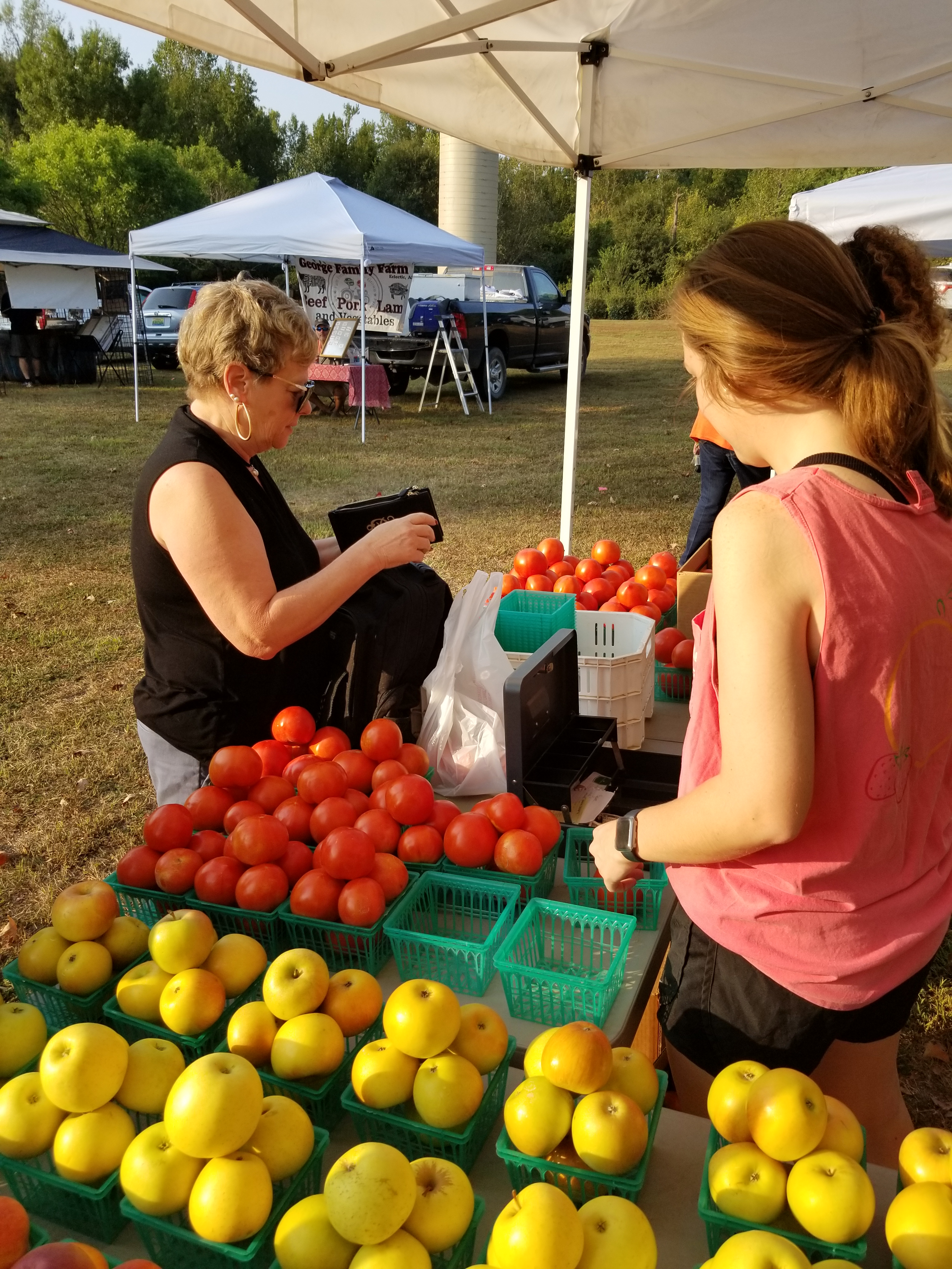 2024 Auburn Midsummer City Market